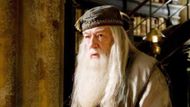 Harry Potter Series (Image vua Warner Bros. Pictures)